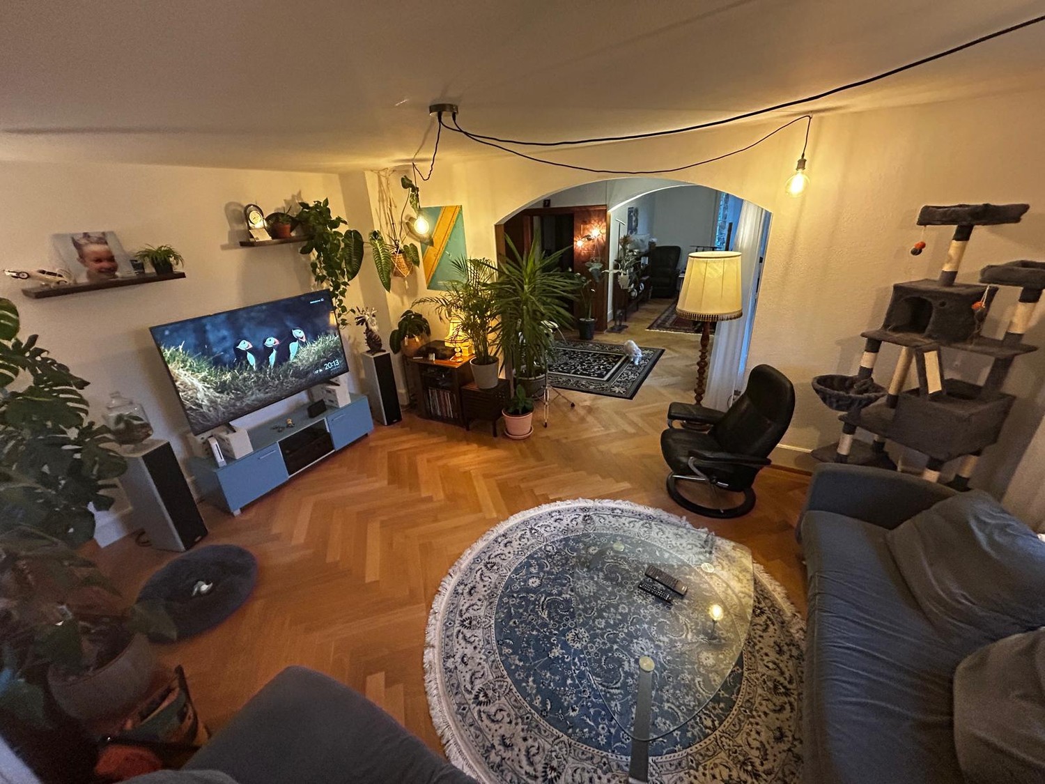 Room in a shared flat