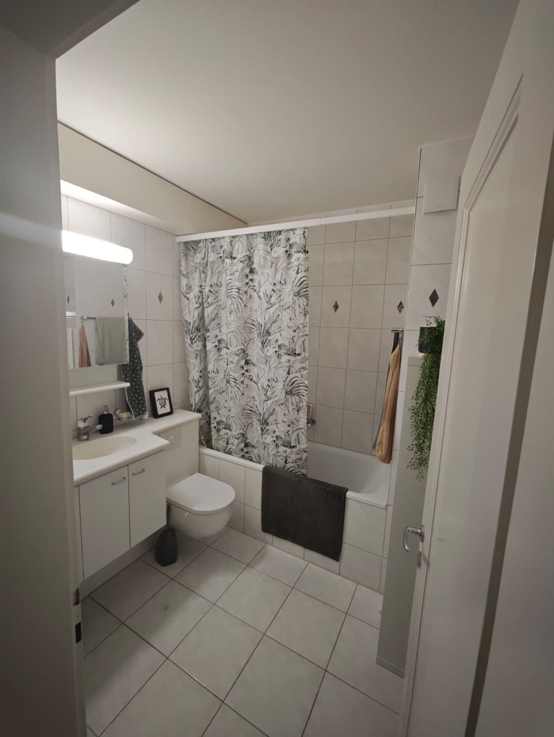 Appartement de 3 ½ pièces