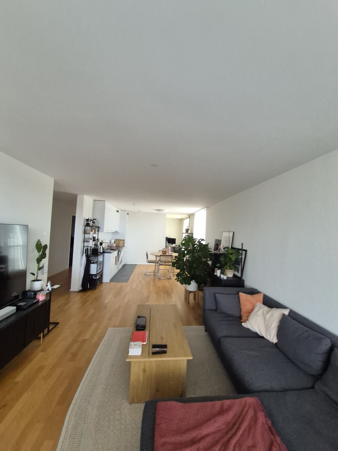 2 ½ rooms apartment