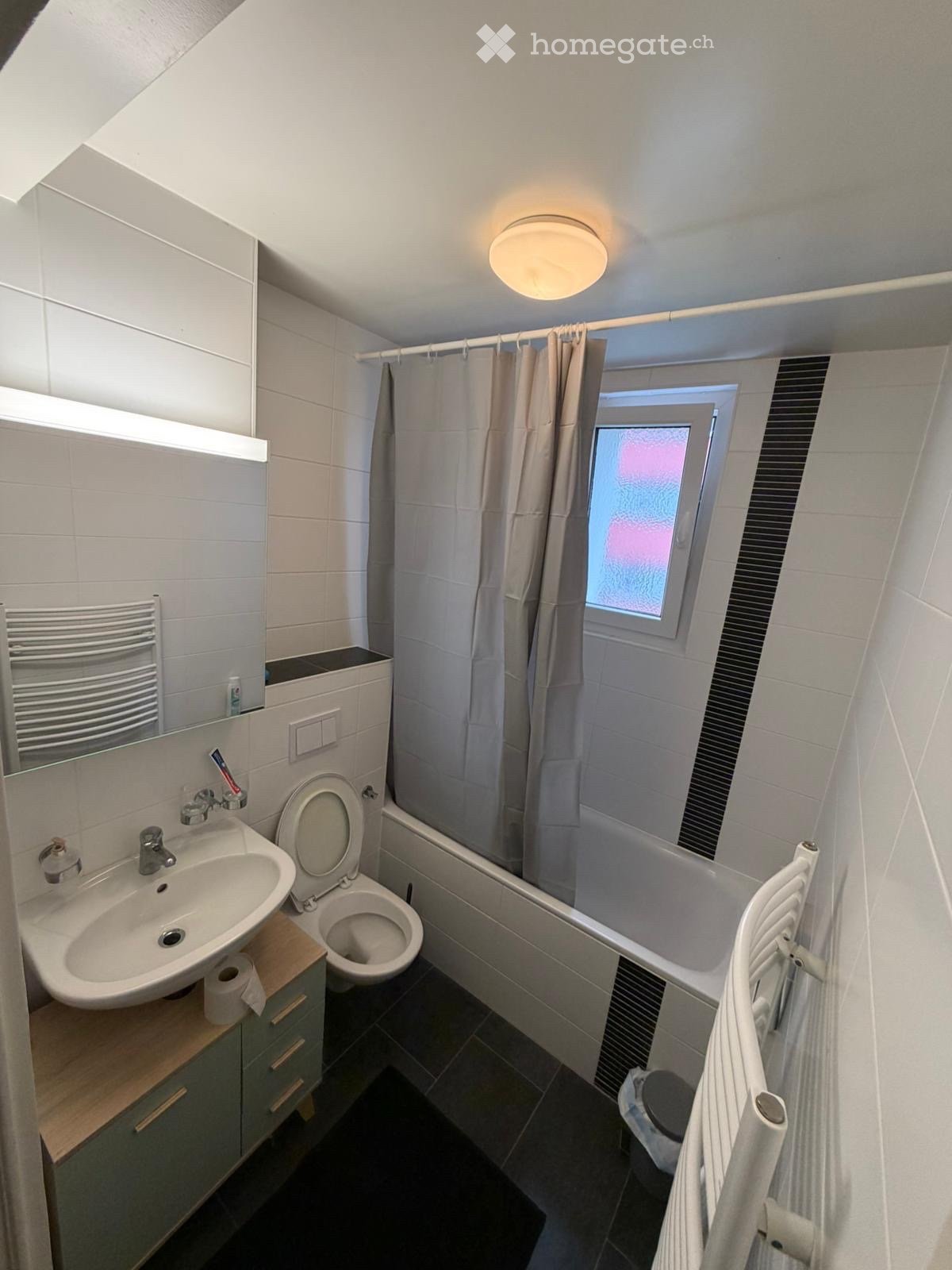 3 ½ rooms apartment (5)