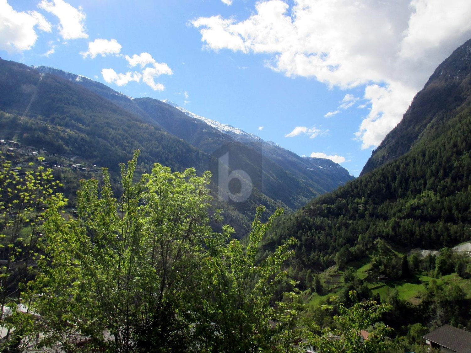 3940m² de terrain à bâtir
