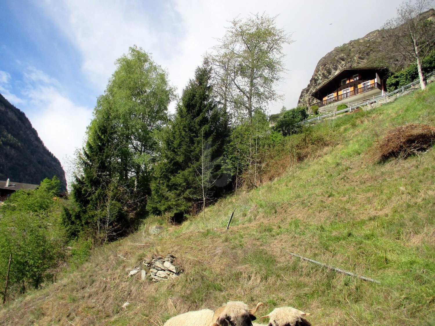3940m² de terrain à bâtir