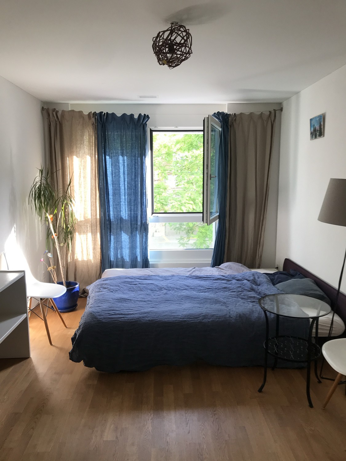Room in a shared flat