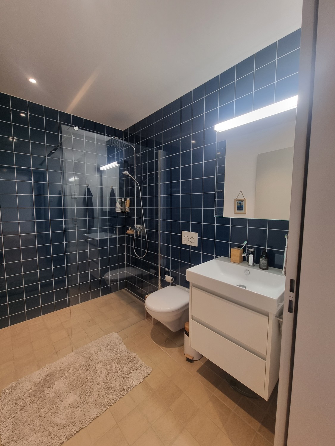 Appartement de 2 ½ pièces, photo 8 sur 8