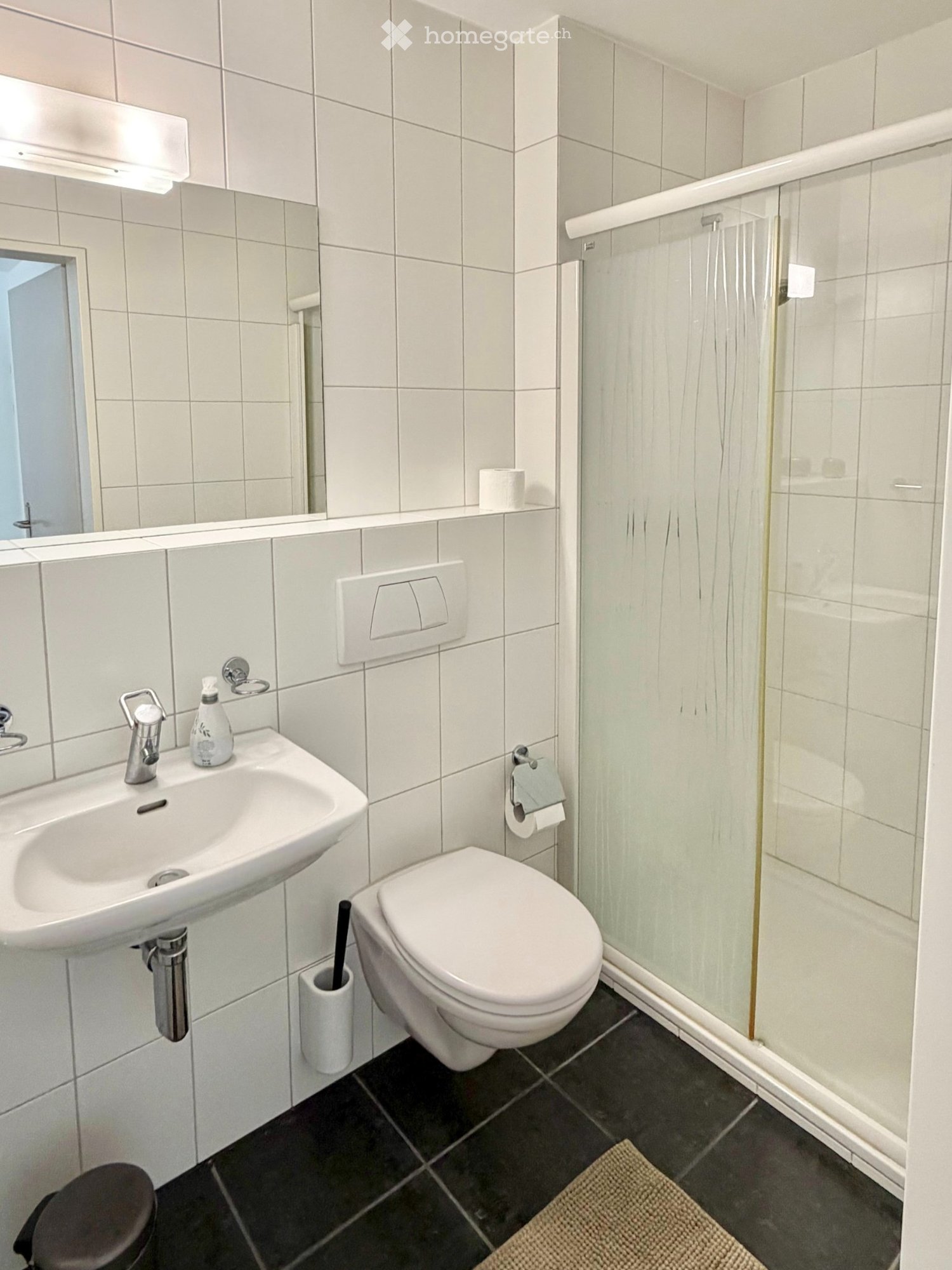 2 ½ Zimmer Wohnung