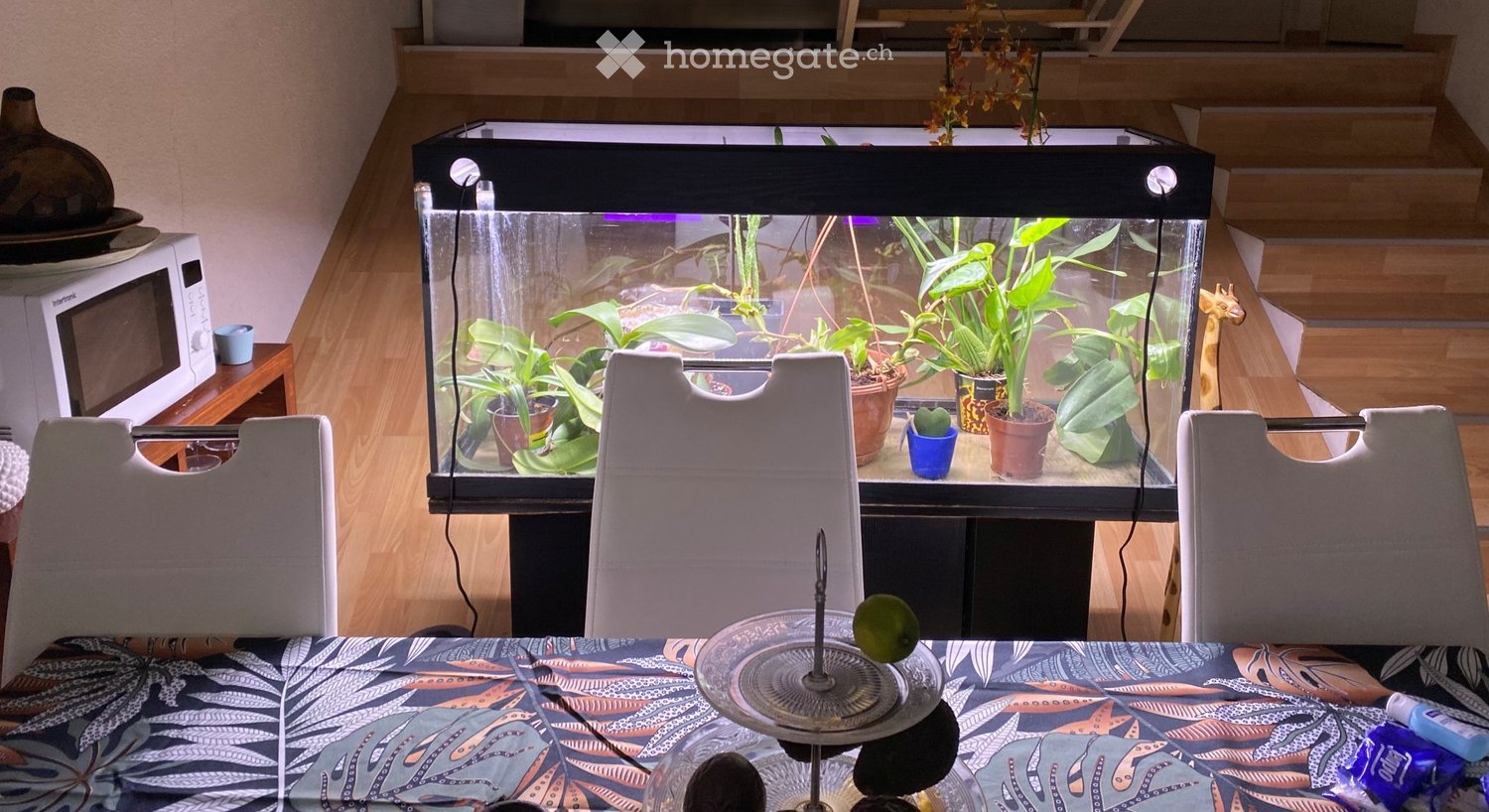 3 rooms apartment