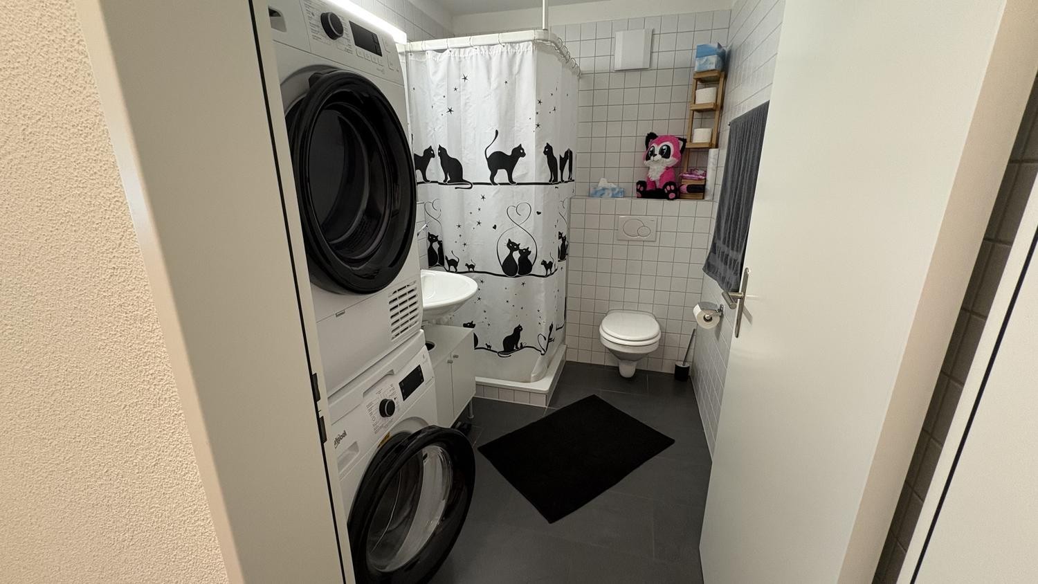 2 ½ rooms apartment, photo 3 sur 6