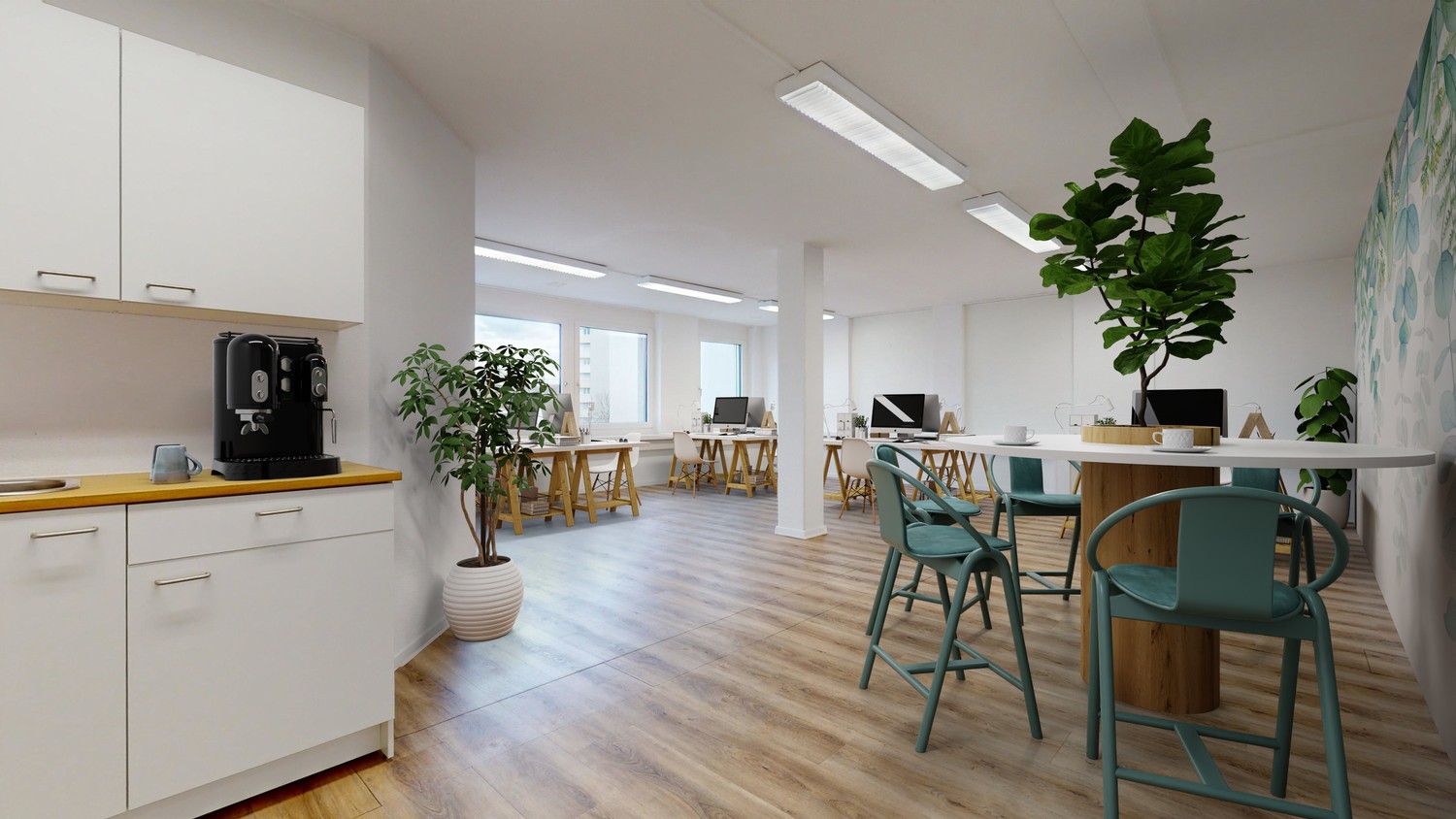 206m² commercial