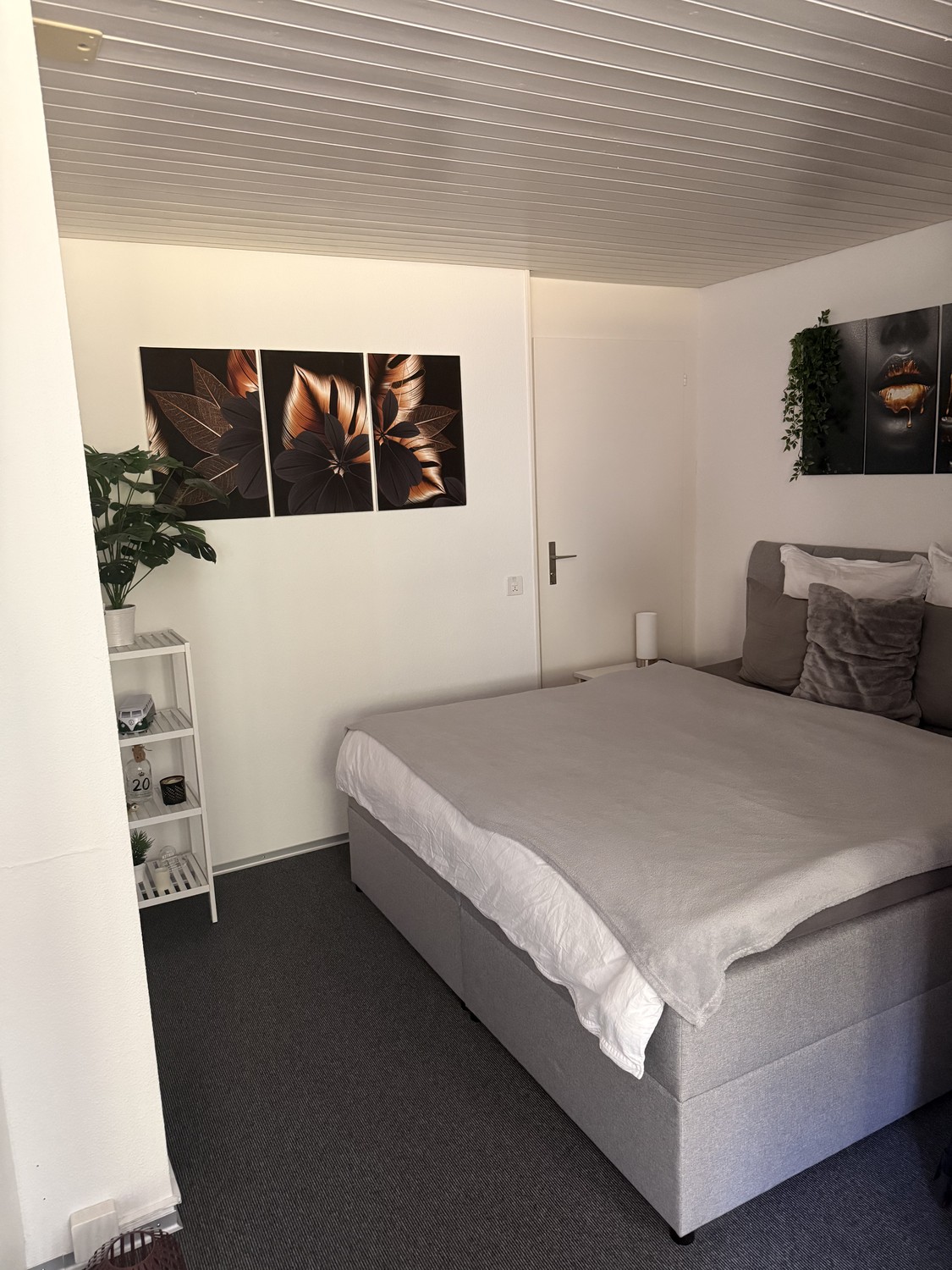 1 room apartment