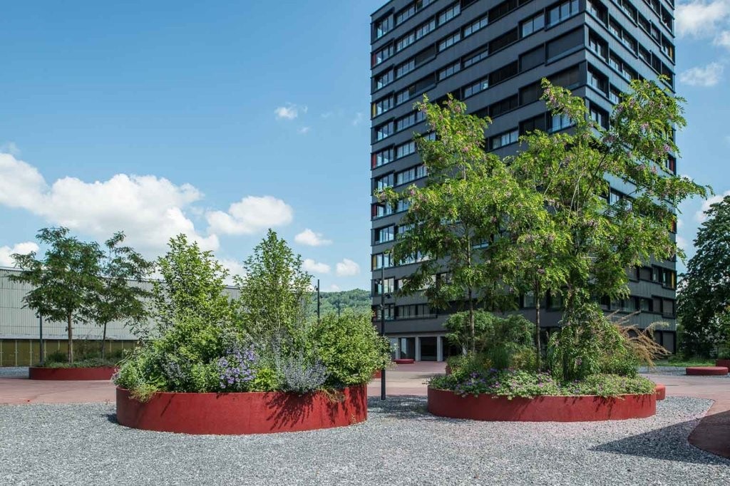 Appartamento di 2 ½ locali