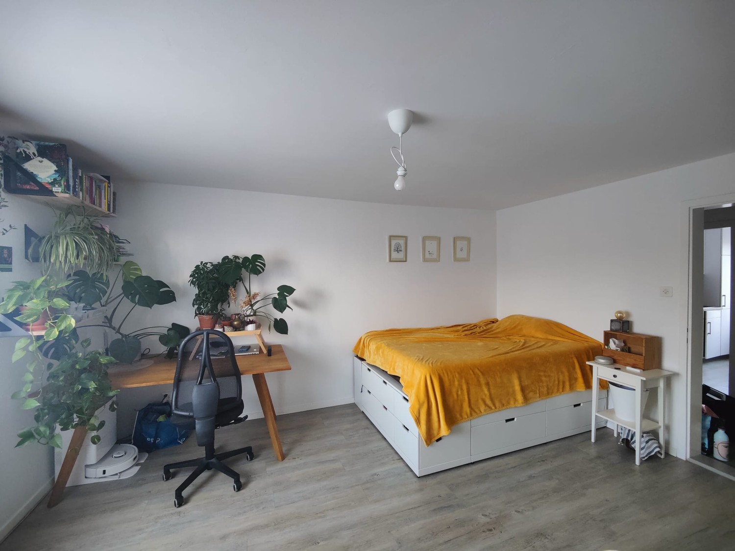 Room in a shared flat
