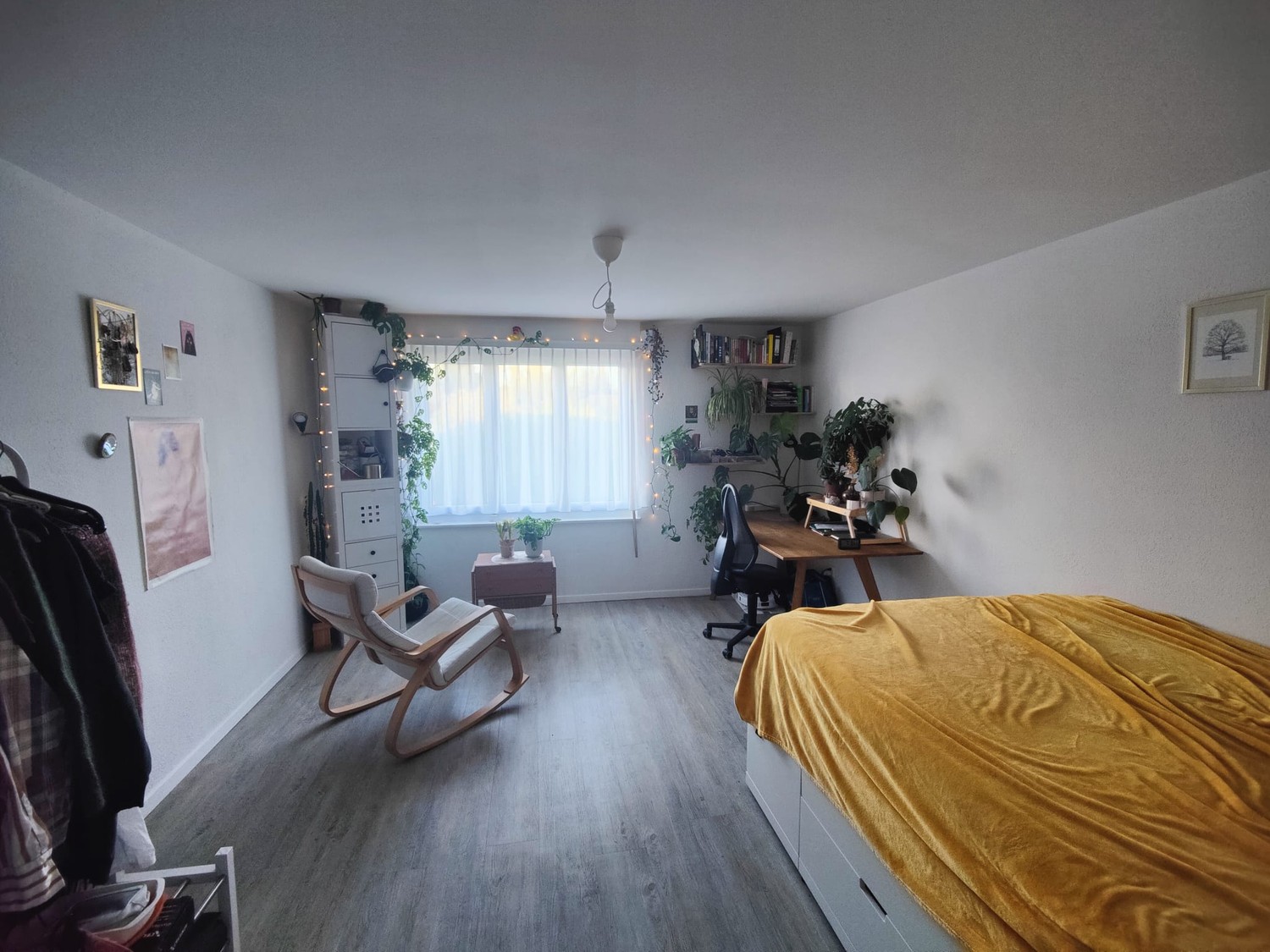 Room in a shared flat