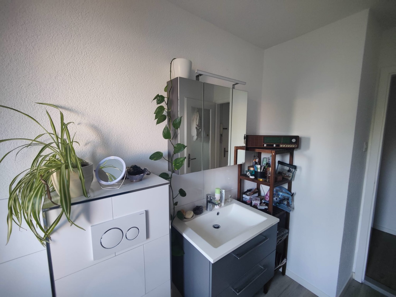 Room in a shared flat