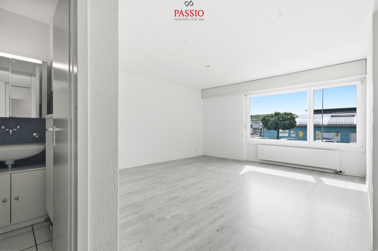 3 ½ room apartment