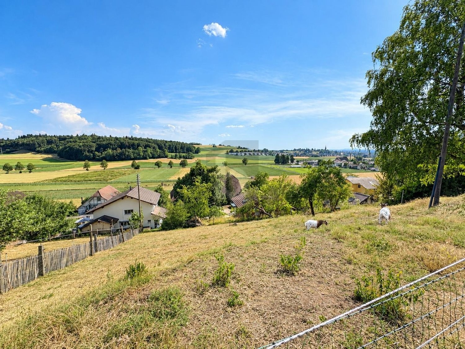 659m² building land, photo 2 of 3