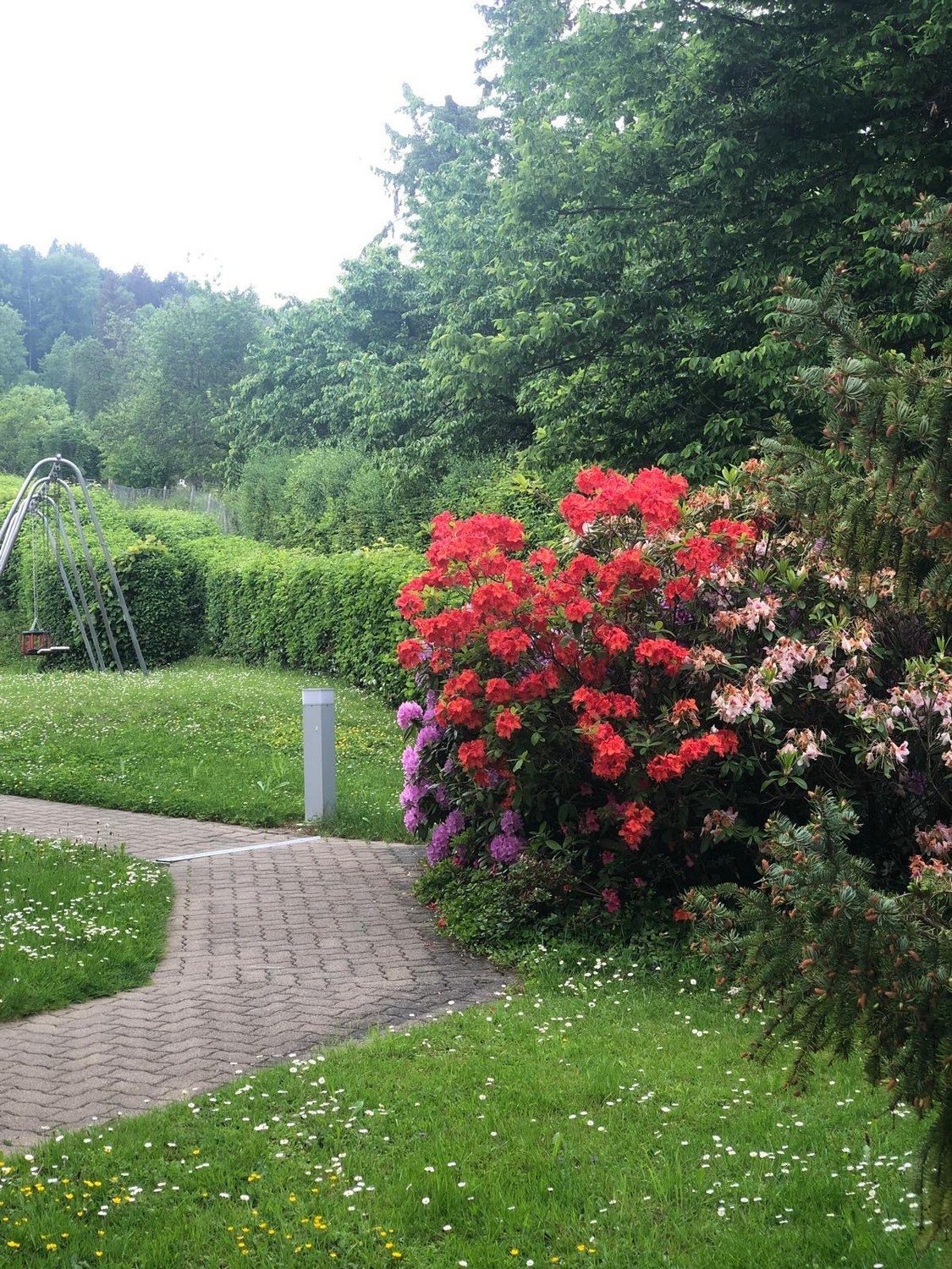 Appartamento di 2 ½ locali, foto 7 di 10