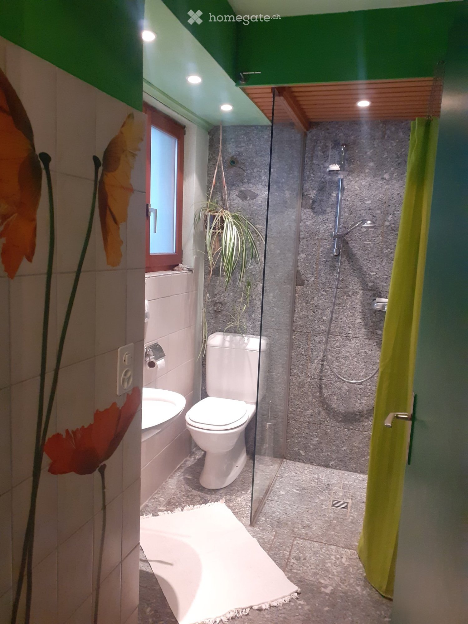 6 ½ rooms apartment (2)