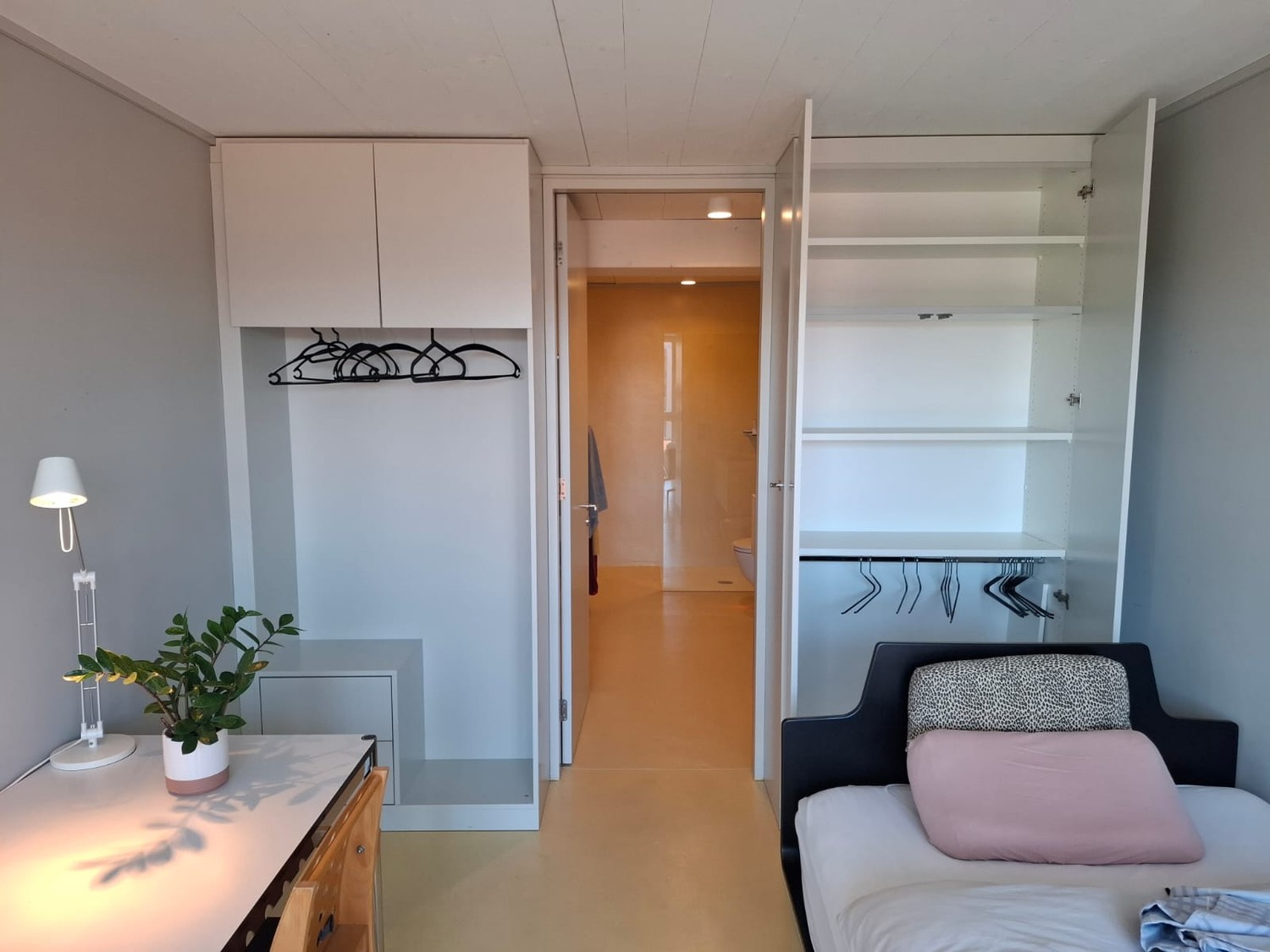 Room in a shared flat