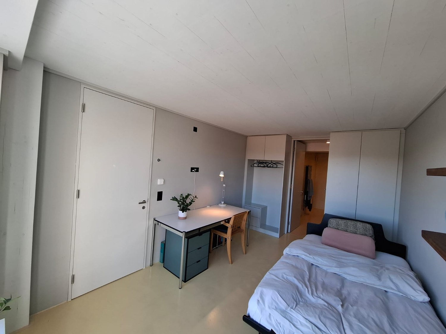 Room in a shared flat