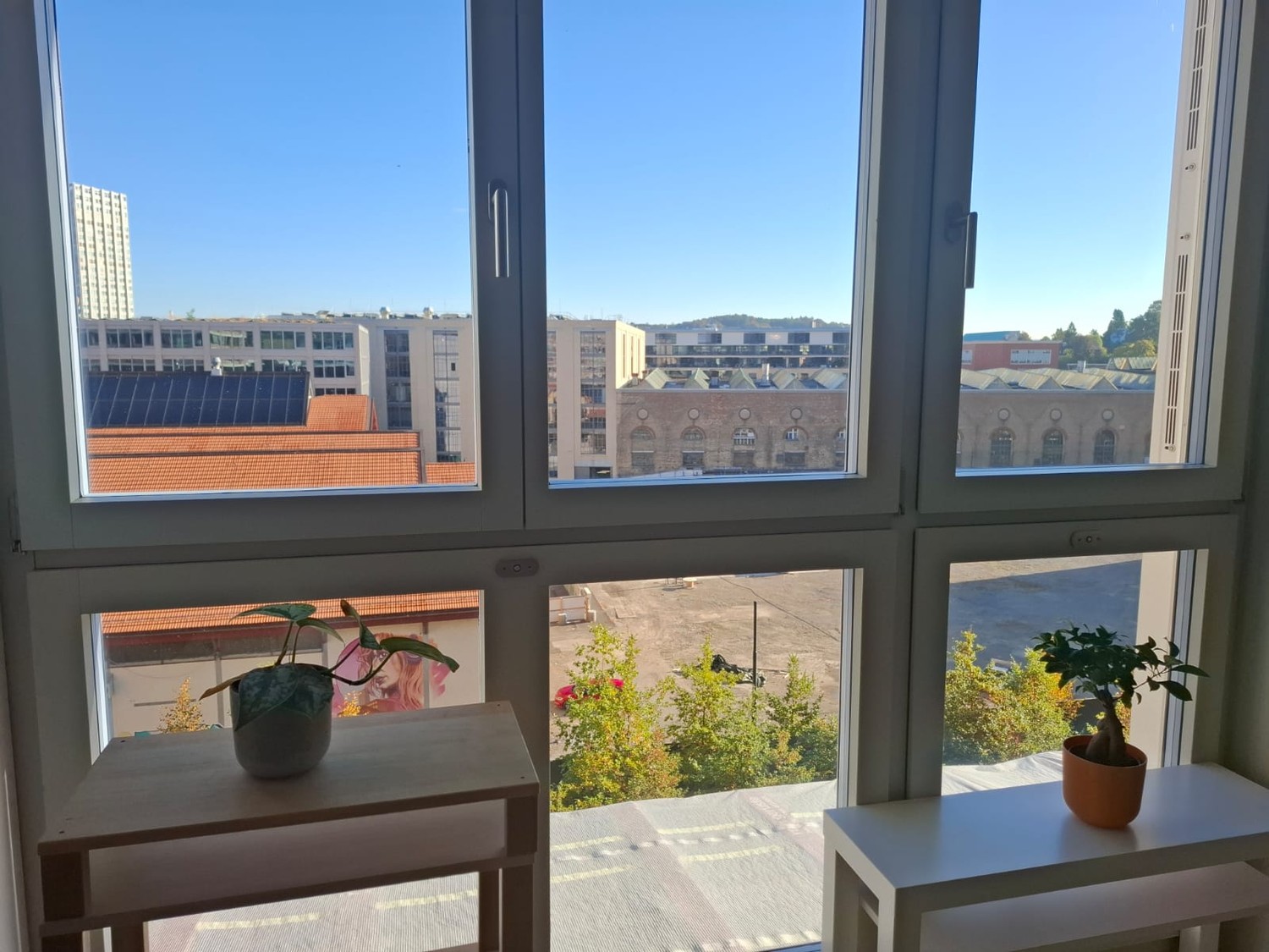 Room in a shared flat
