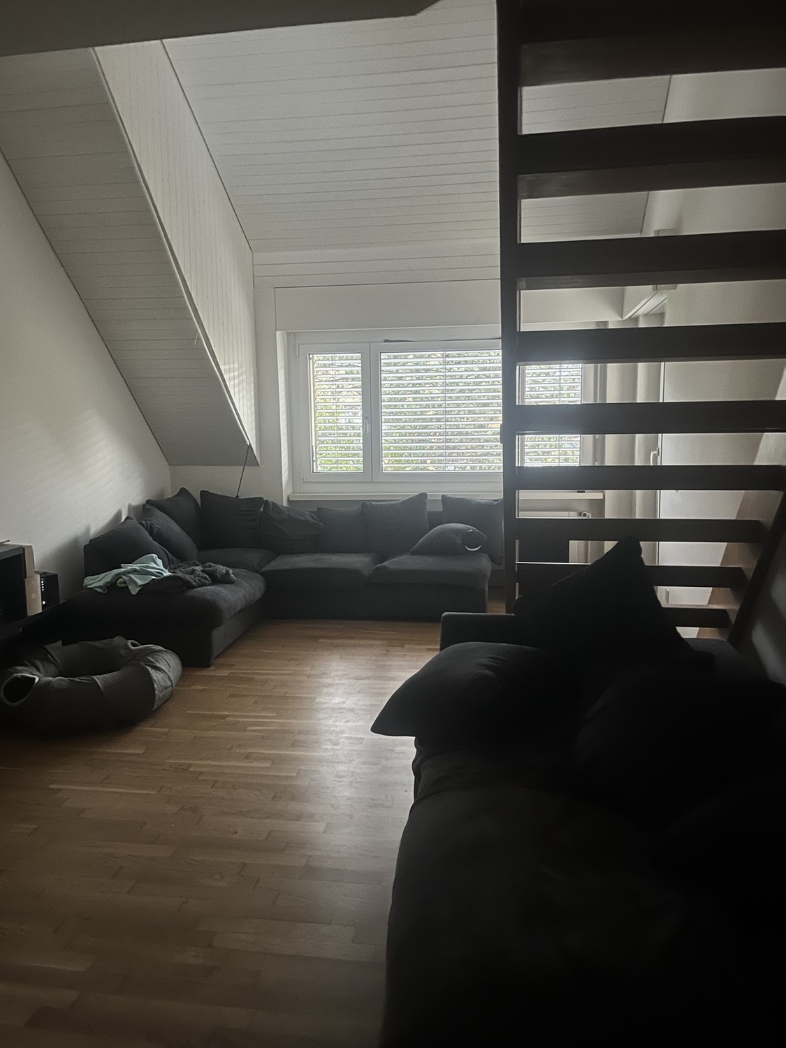 Room in a shared flat