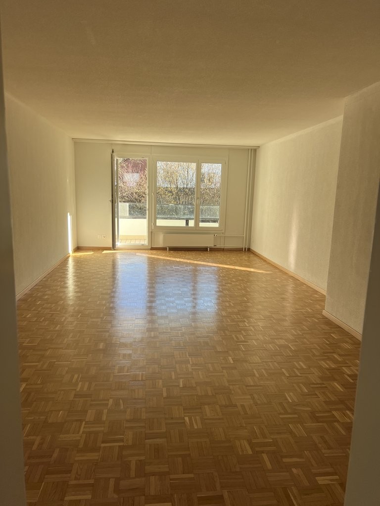 4 ½ rooms apartment (7)
