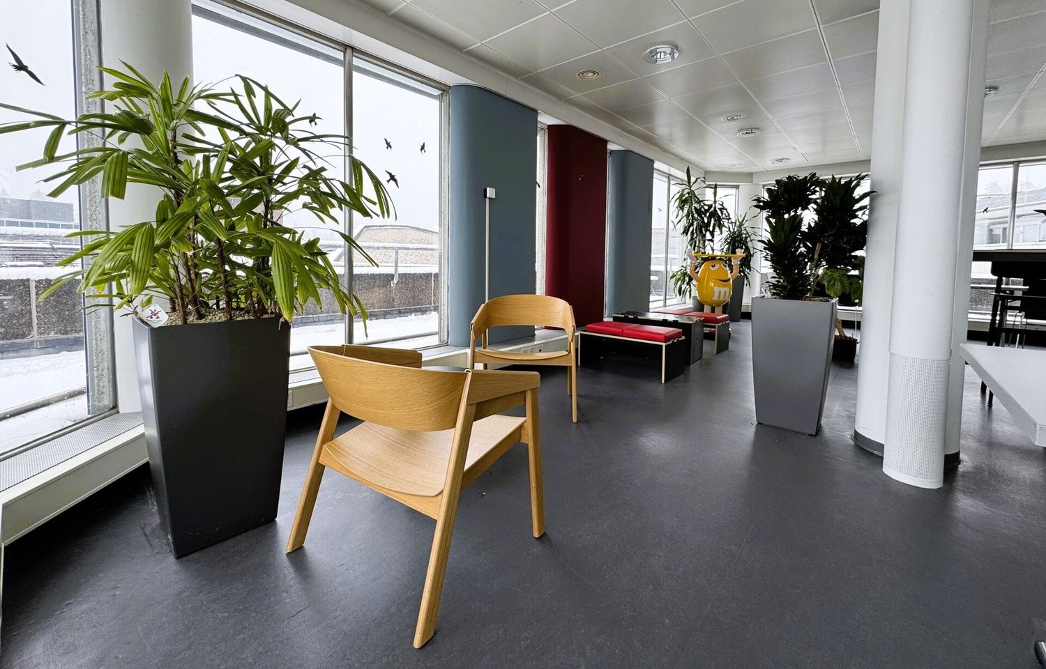 371m² office, photo 5 of 10