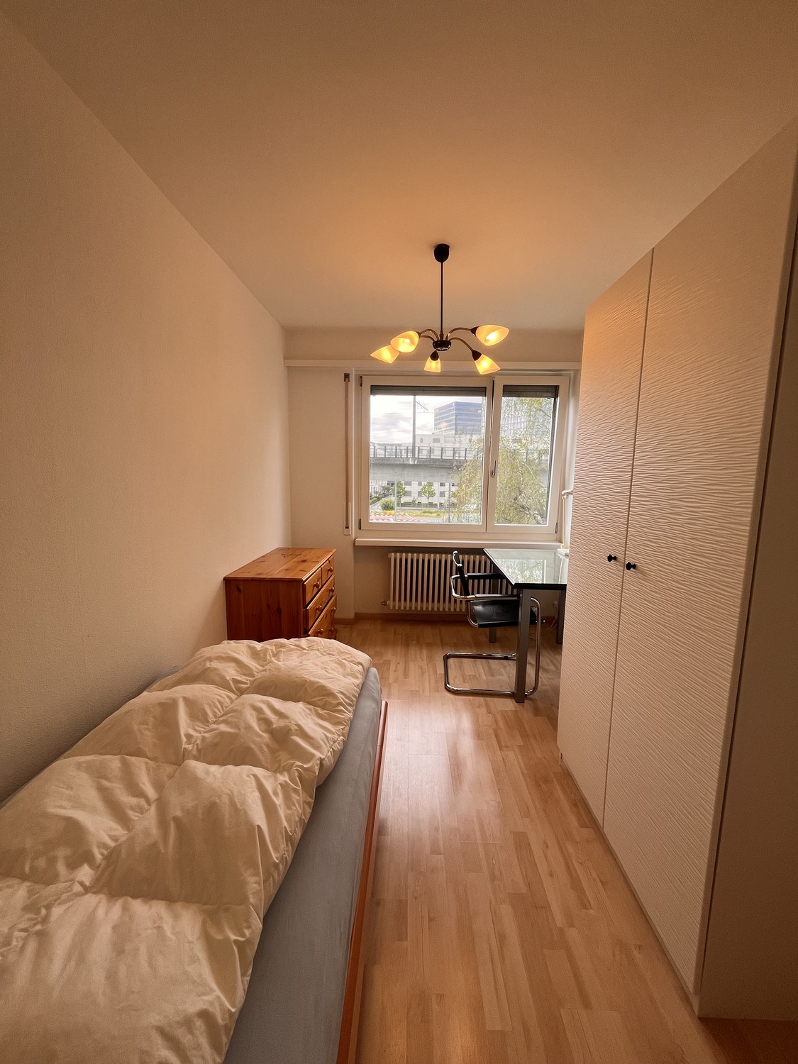 Room in a shared flat