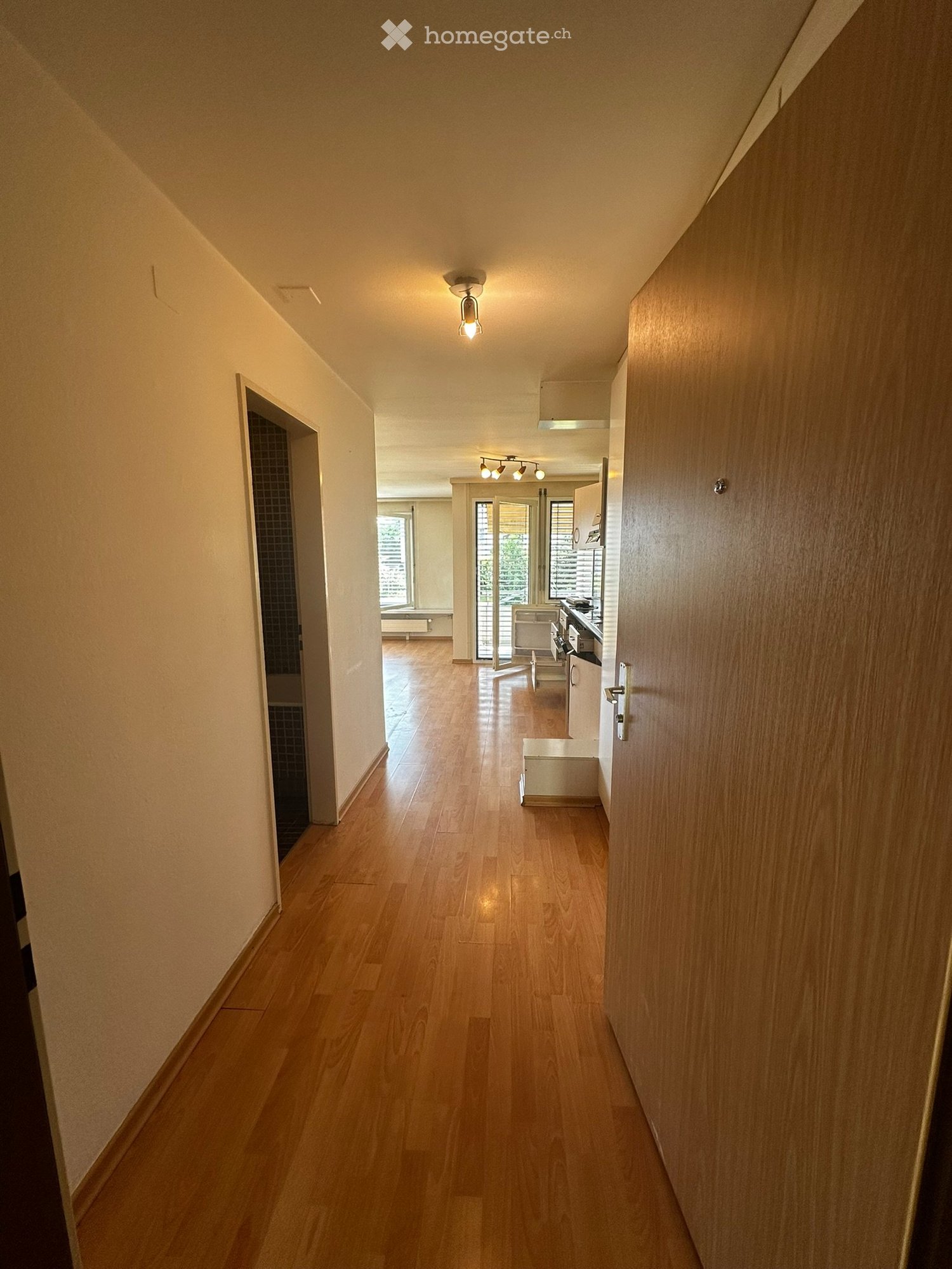 Appartement d'une pièce, photo 3 sur 5