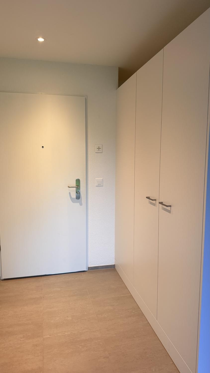 Appartement de 3 ½ pièces