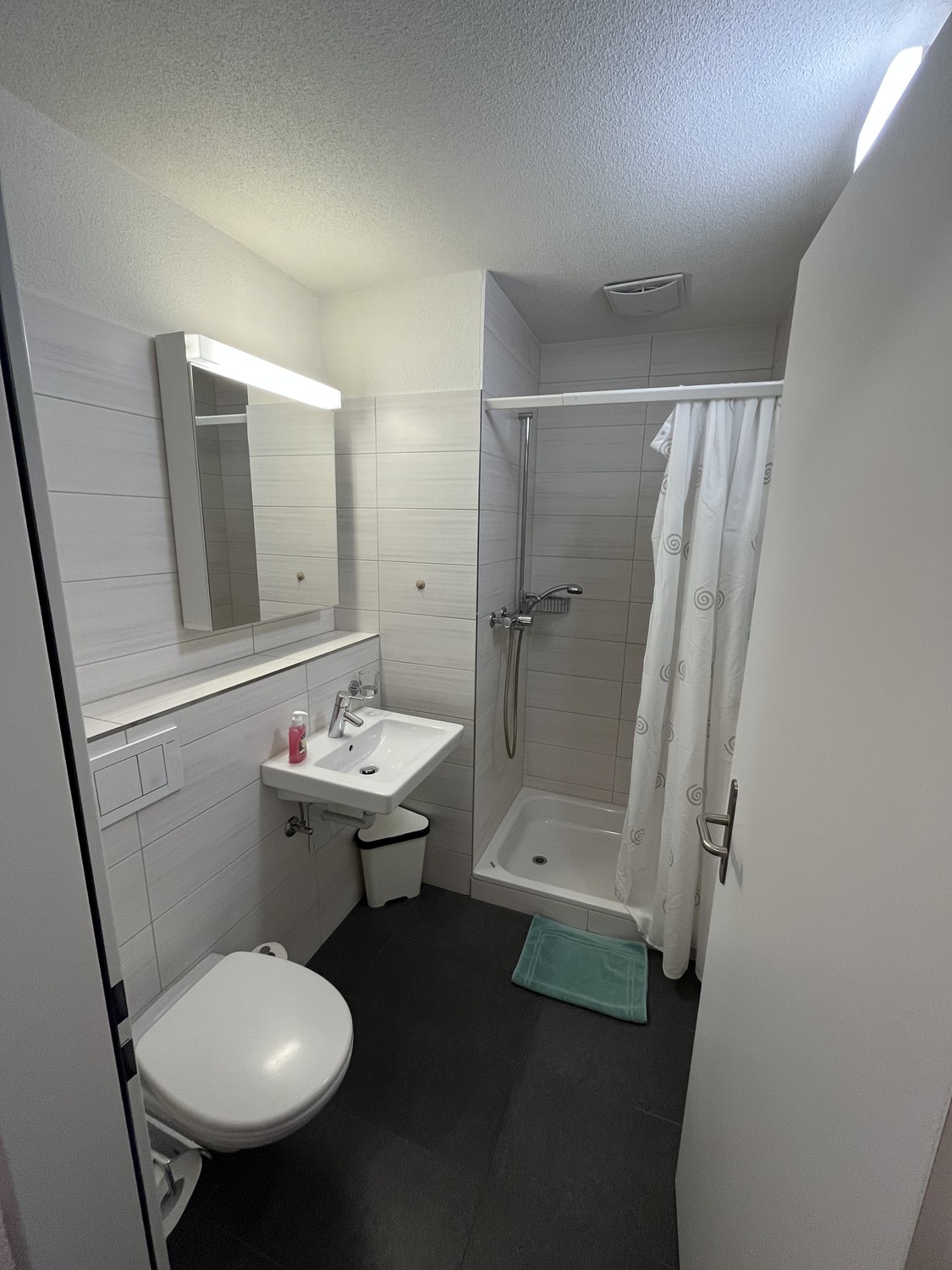 1 room apartment