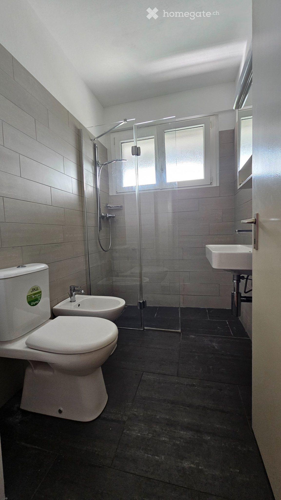 3 ½ Zimmer Wohnung