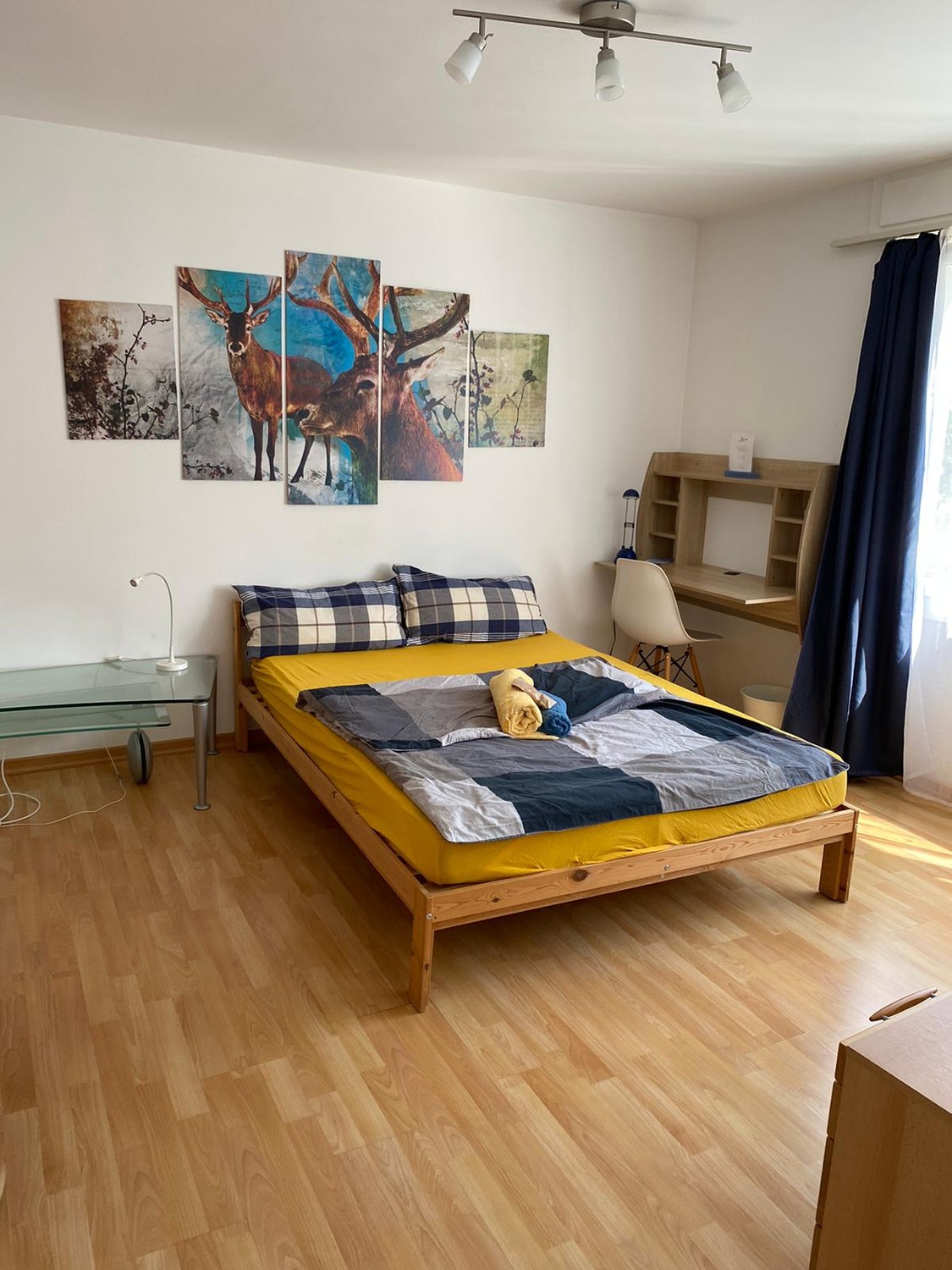 Chambre dans un appartement partagé