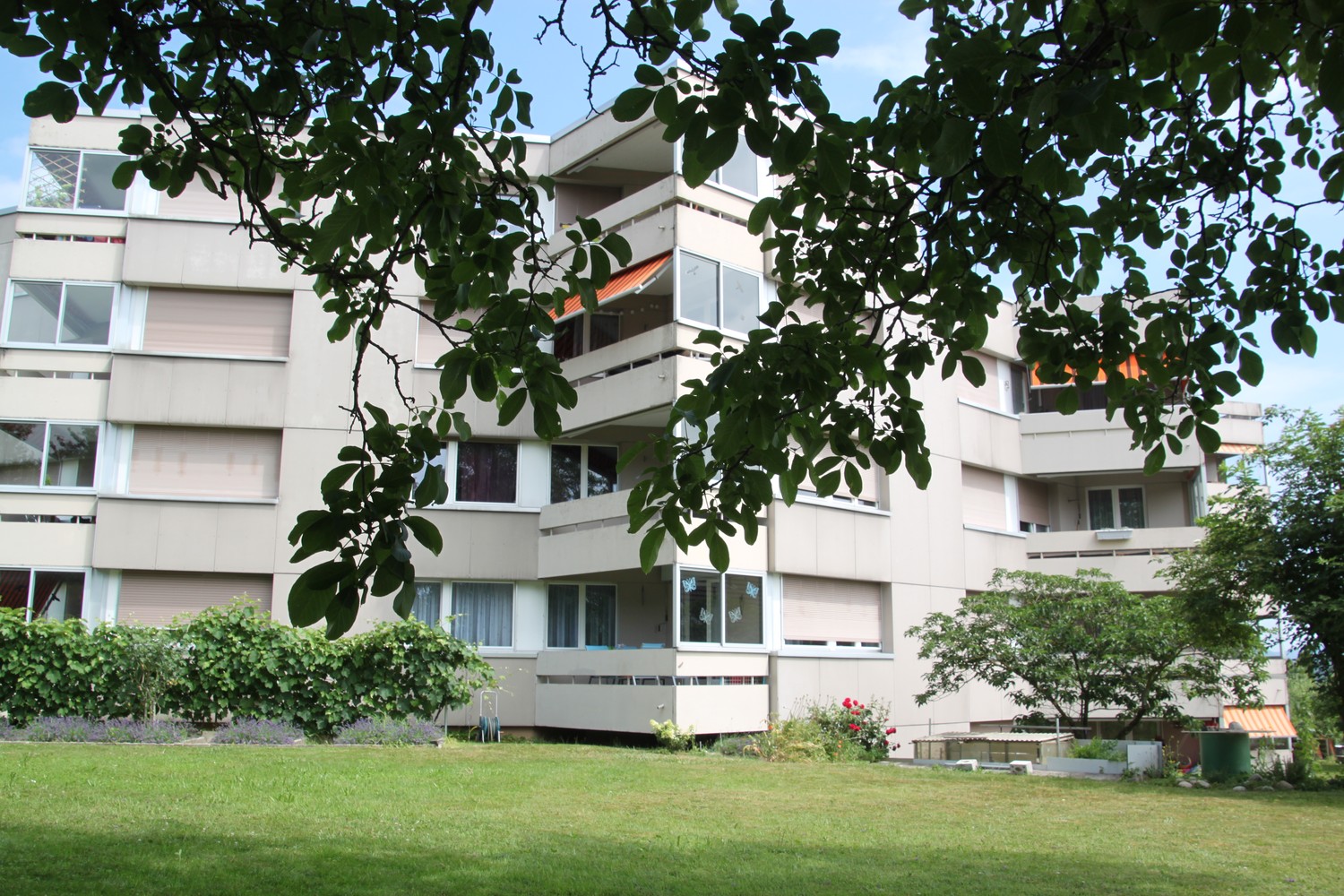 Appartement de 3 ½ pièces, photo 8 sur 8