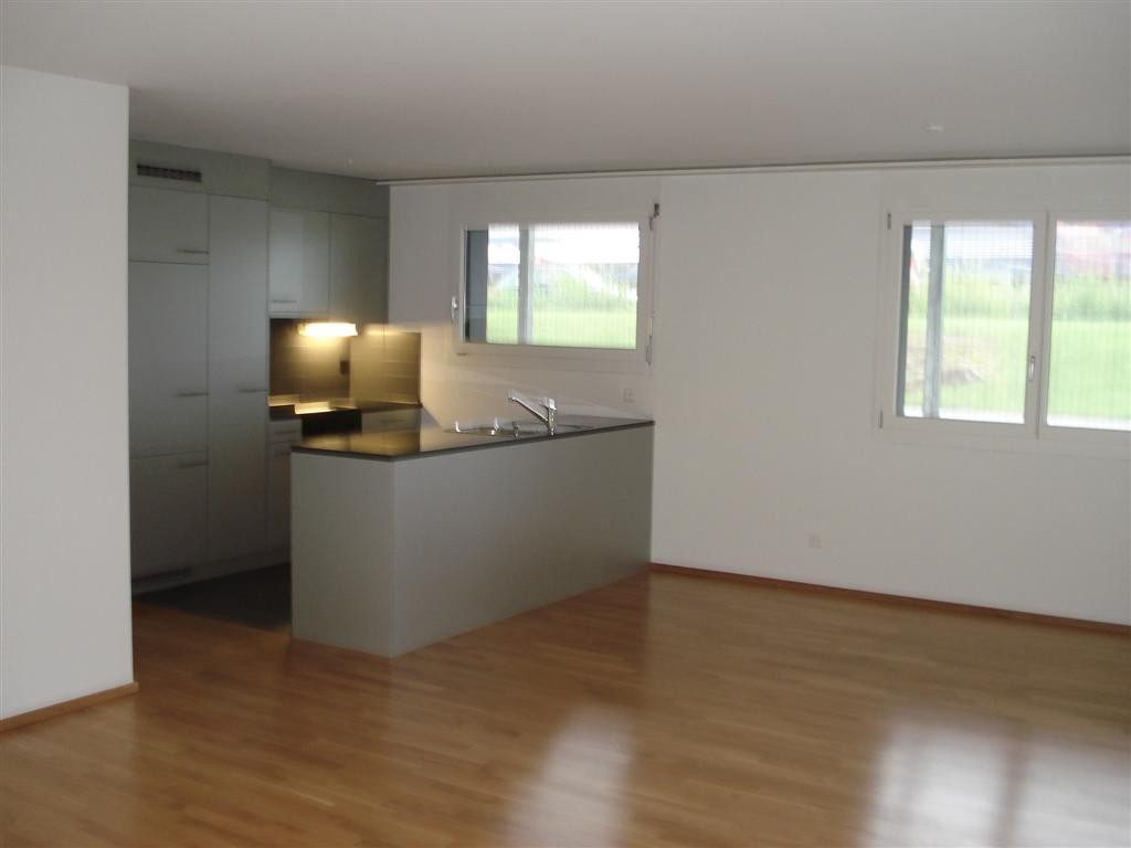 3 ½ room apartment
