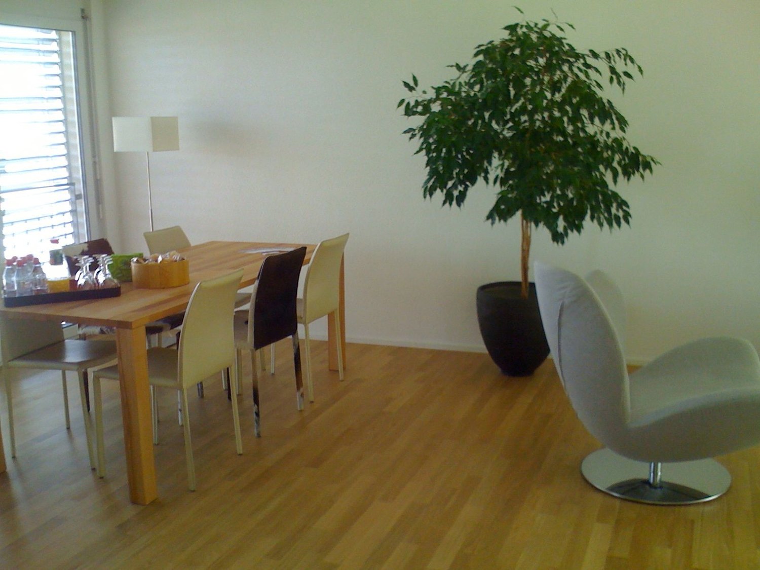 3 ½ Zimmer Wohnung möbliert