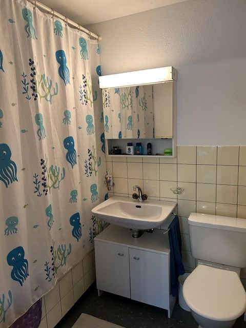 1 ½ rooms apartment