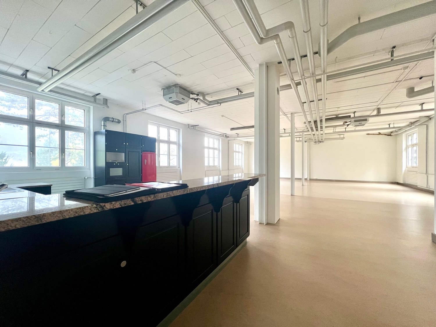 2 ½ rooms loft