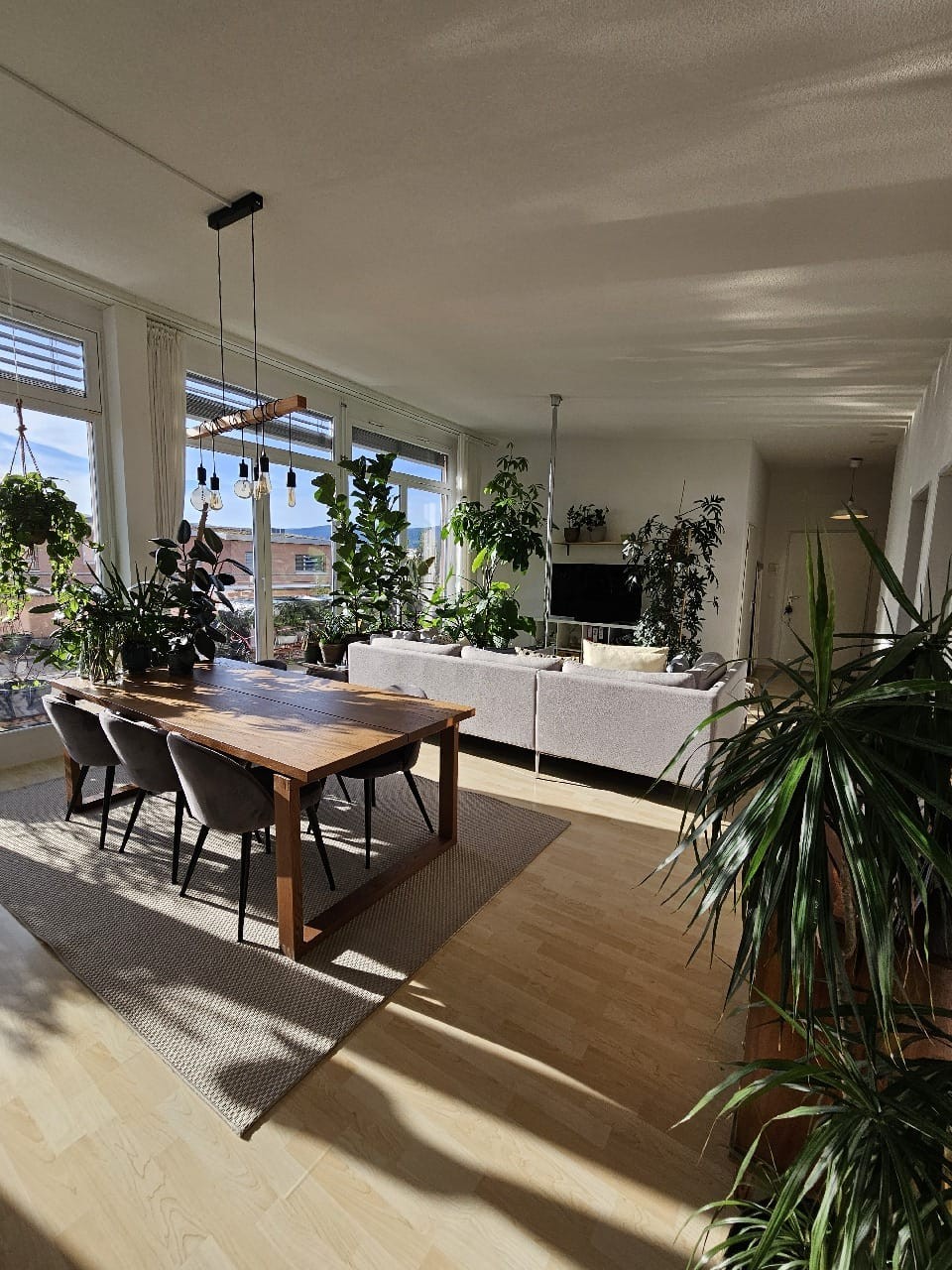 Appartamento di 4 ½ locali