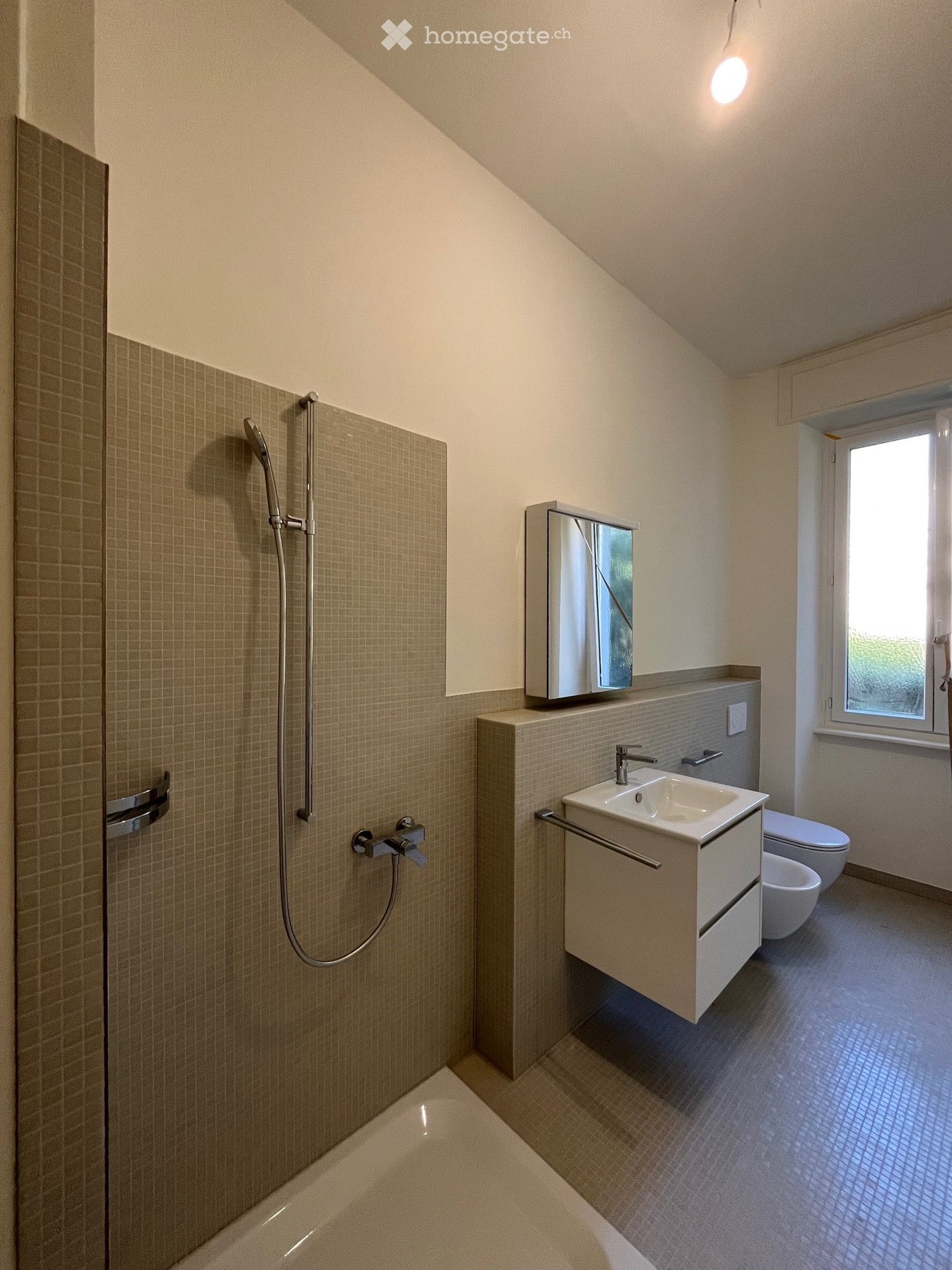 4 ½ Zimmer Wohnung
