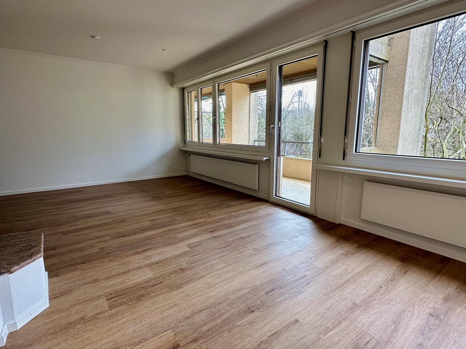 6 ½ rooms apartment