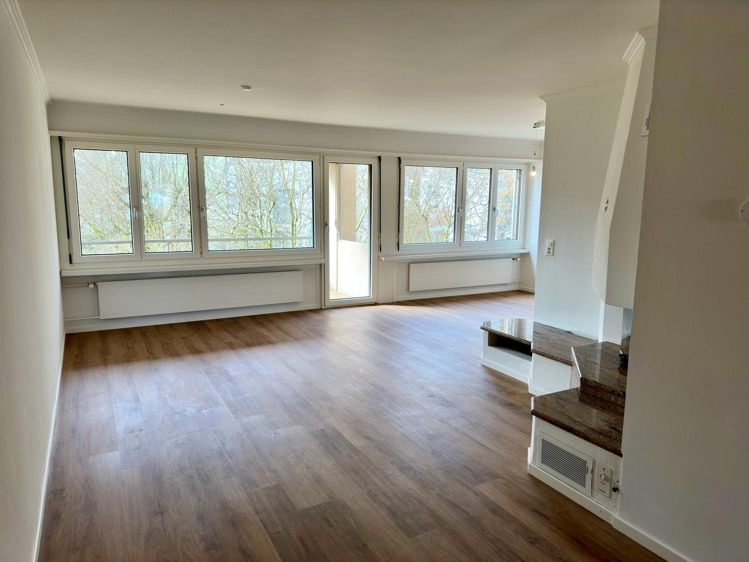 6 ½ rooms apartment