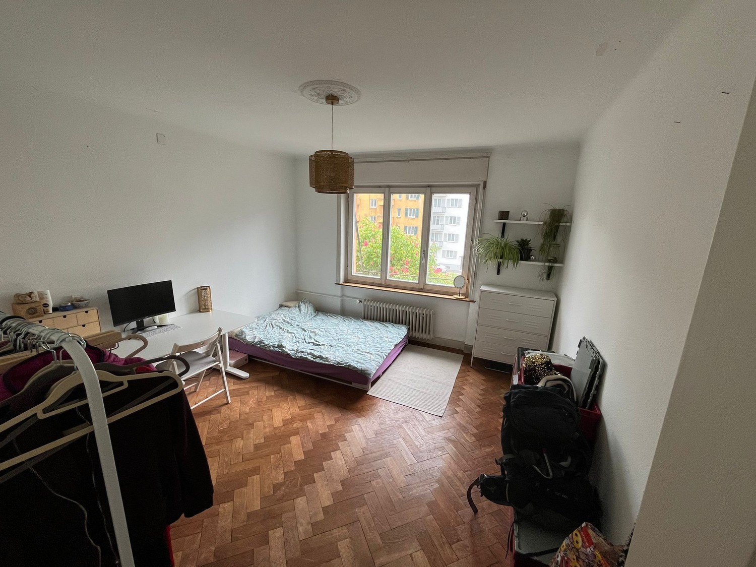 Room in a shared flat