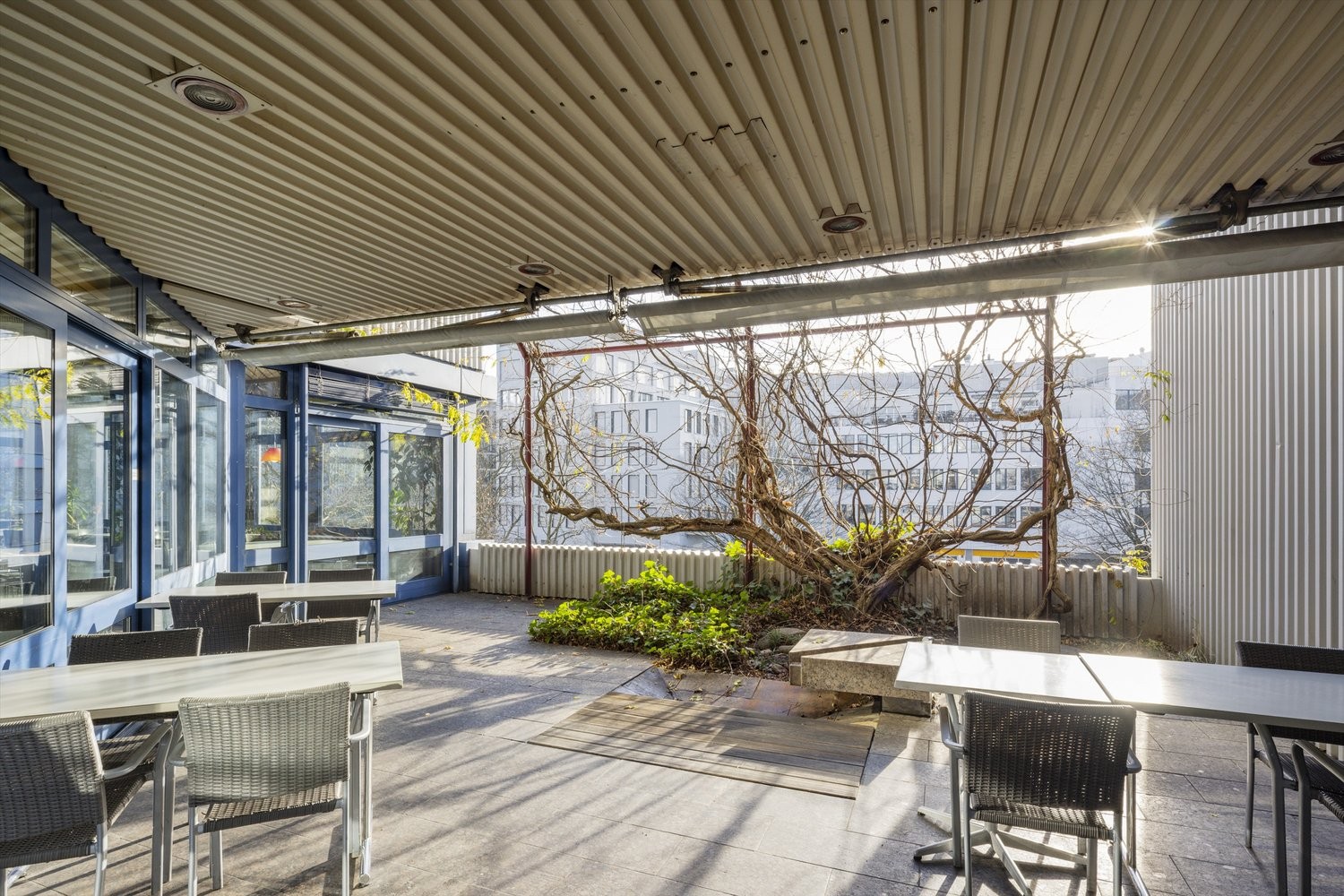 800m² restaurant, photo 6 of 8