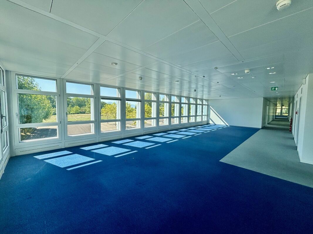 2600m² office, photo 7 of 10