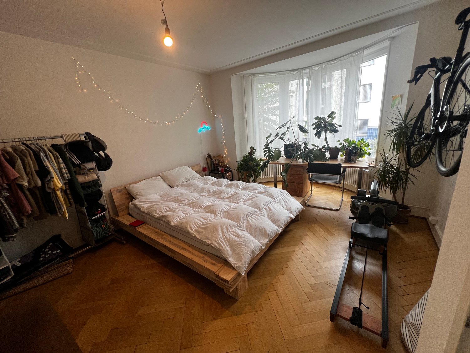 Room in a shared flat