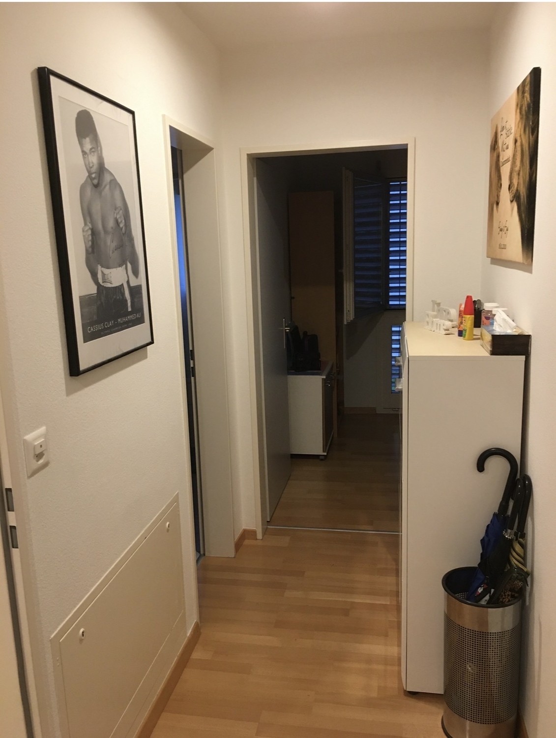 4 ½ rooms apartment
