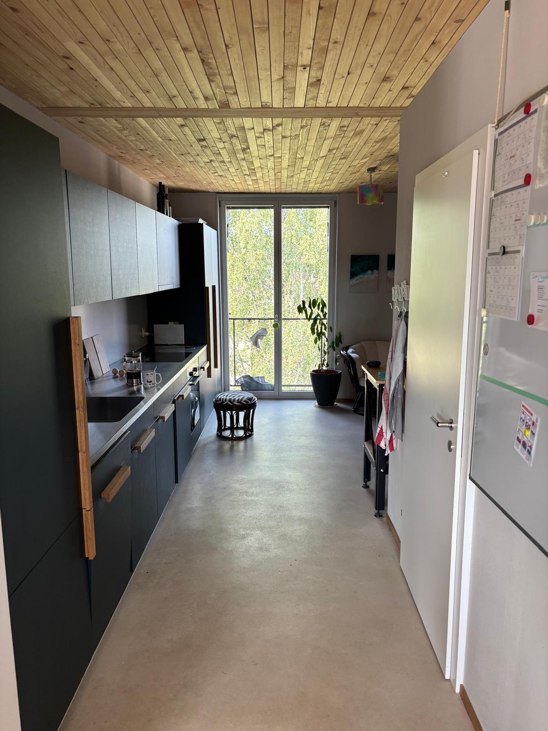 Room in a shared flat