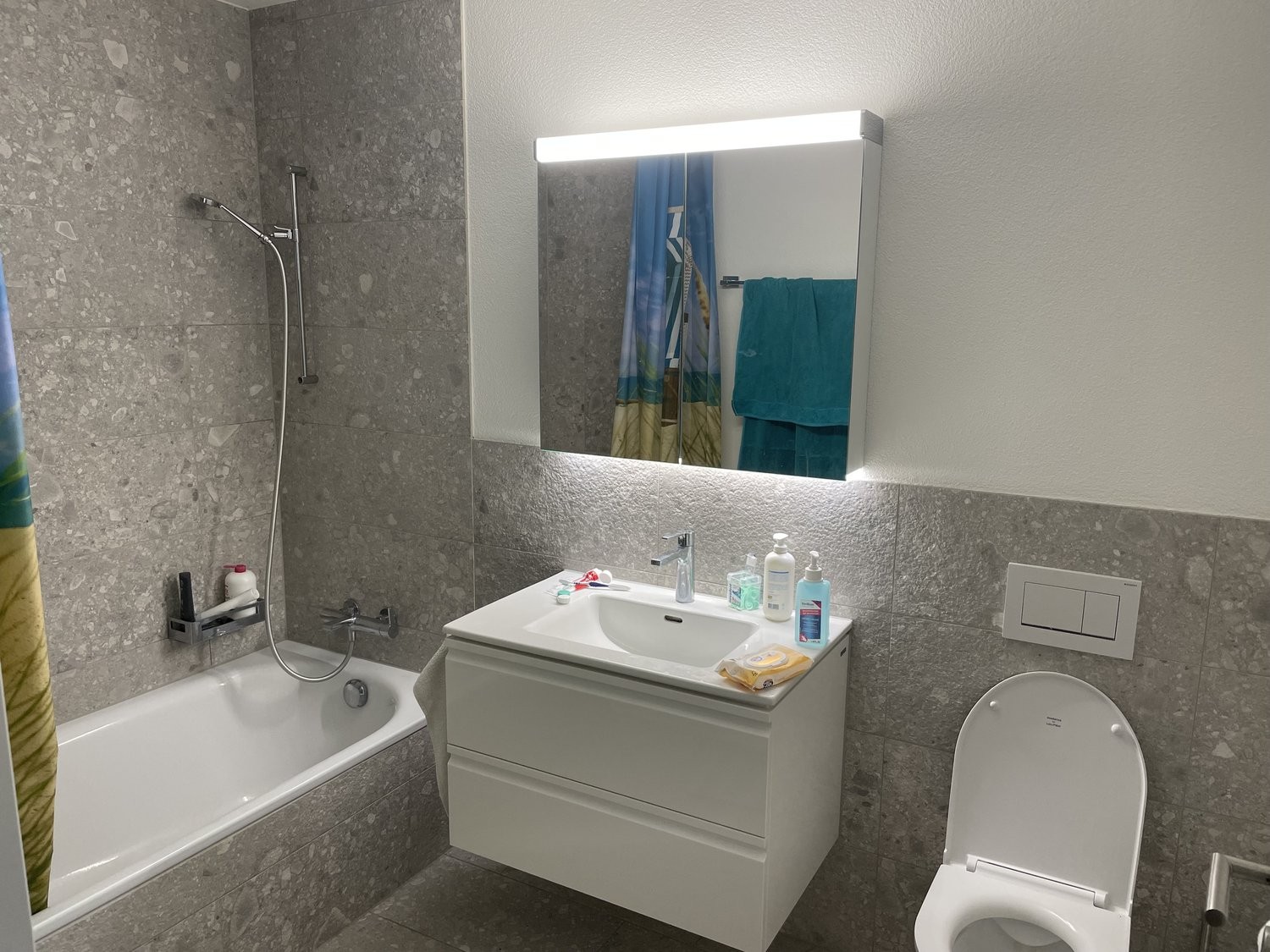 4 ½ rooms furnished flat