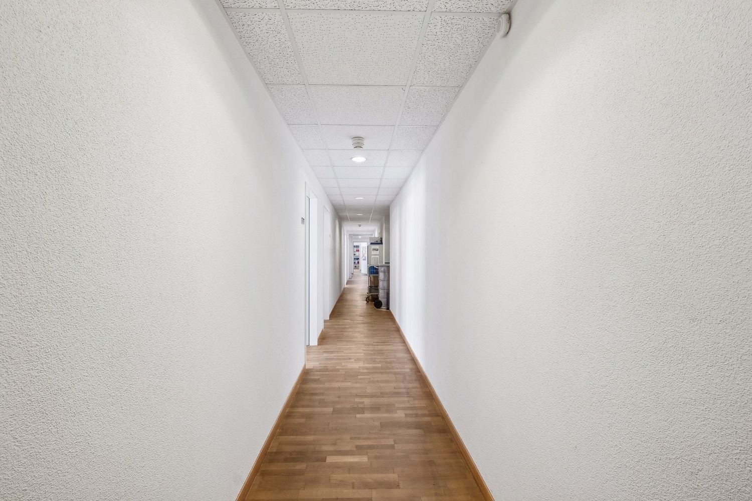 Bureau de 179m²